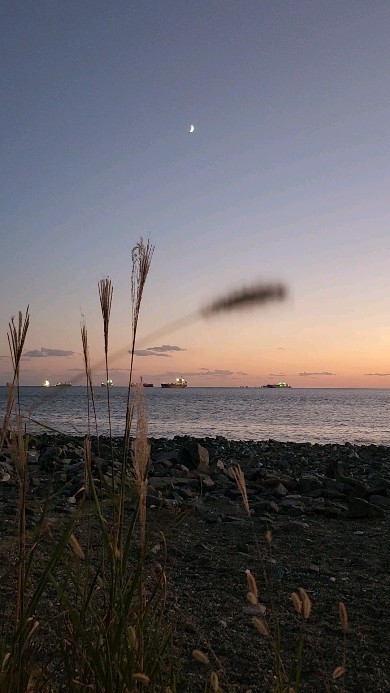 #🌾
#today 
#sunset 
#october 
#ocean