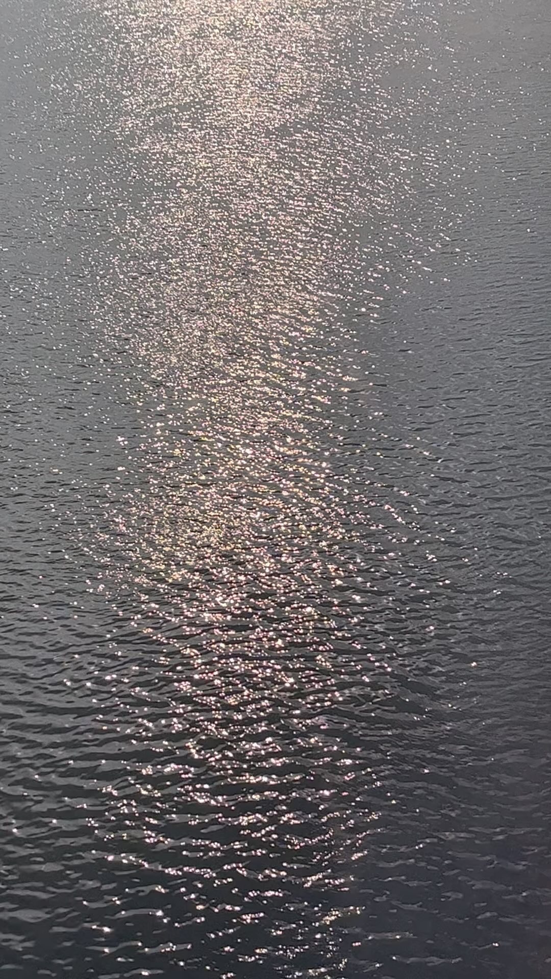 〰️〰️
