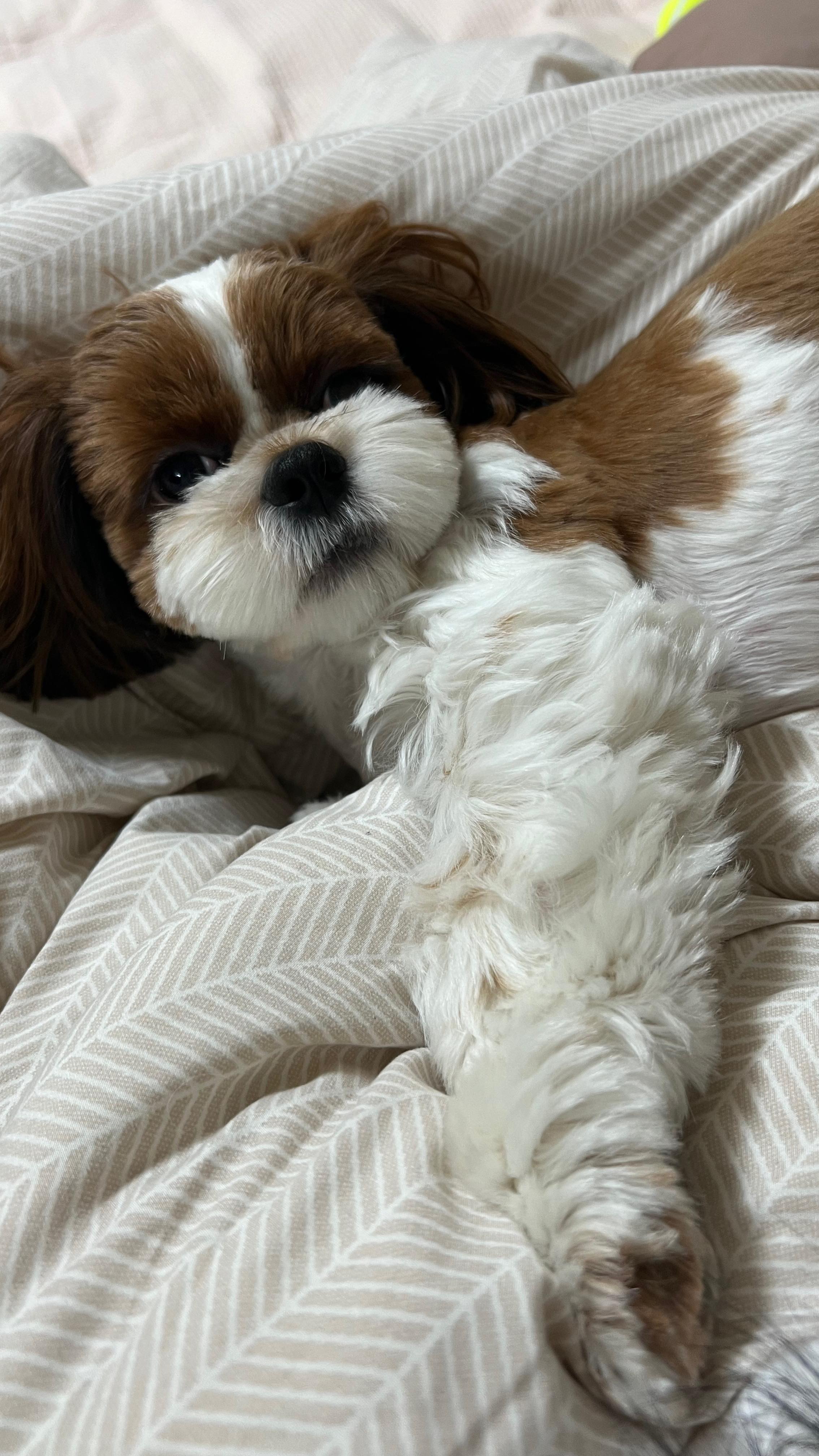 아무래도 자고 간 여자는 ..더보기

#reels