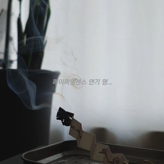 5분 멍타임..
인 척 어제먹은 청국장 냄새 빼기🤧
#페이퍼인센스 #멍때리기
