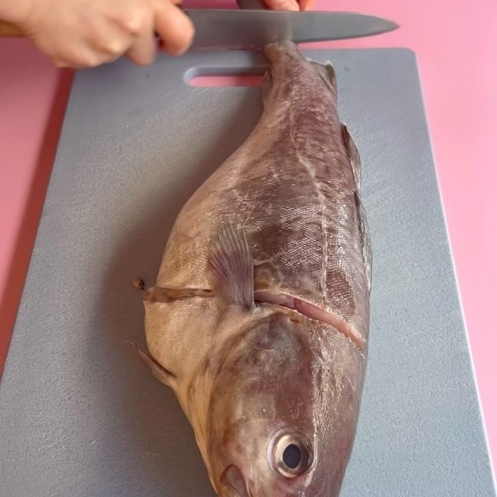 🐟 도톰한 흰살생선 구이, 좋아하세요?
흰살생선에 레드향을 조리면 맛이 좋다길래 만들어본

지금 공동구매 중인 달콤한 레드향의 과육을 발라내어
으깬 방울토마토와 올리브유 소스를 만들고
버터에 구운 대구살을 올려 
마요네즈 다짐마늘 레몬즙 소스를 올려
토치로 불향을 입혀주었어요 🫶🏻

부드럽고 상큼하고 알싸한,
대구 구이 🐟🍊
가자미, 이면수로 만들어도 맛이 좋을 거 같아요 🥰

이케아 또는 인터넷에 냉동대구살 판매한다고 하니 
집에선 생물 잡지마세요 😉

🔸재료

- 대구살 2조각, 굵은소금 1t, 전분가루1T, 버터 2T
- 레드향 1개, 방울토마토4개, 올리브유 5-6T, 백후추조금
- 마요네즈 5T, 다짐마늘 1T, 래몬주스 1,1/2T

🔹과정

1. 물기제거한 대구살에 굵은소금을 뿌리고 
30분간 냉장숙성한다

2. 레드향 과육을 발라내어 잘게 썰고, 
방울토마토는 절구에 으깨어(썰어도 👌🏻) 
올리브유와 섞어준다

3. 분량의 재료를 넣고 마요네즈 소스를 만든다

4. 숙성된 대구살에 굵은 소금을 털어내고 
소금으로 인해 생긴 물기를 제거 후 
전분가루 뭍혀 팬에 버터를 녹이며 구워준다

5. 구운 대구를 건져낸 팬에 
레드향 소스를 넣고 한김 끓으면 불을 꺼준다

6. 접시에 레드향소스 담고 그 위에 구운 대구, 
마요네즈 소스 올린 후 토치로 불향을 입혀준다 

📌지금 공구 진행 중인 달콤한 레드향 
⭐️구매는 프로필에서 하단 링크를 눌러주세요

🔗 @light_shoulder_ 
🔗 @light_shoulder_ 
.

✅공구일정
2024년 1월 22(월) ~ 28(일)

우아하게, 맛있게 드세요 😋

.
.
#공동구매#설날선물#건강간식#레드향
#릴스#reels#food#recipes