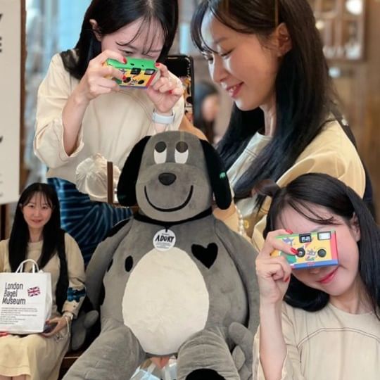🧸🪅
かわいいのは本当に最高です。
#제가제일귀엽습니다😜 #vlog