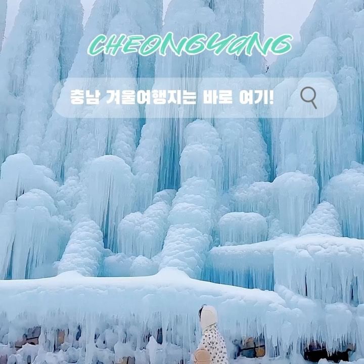 충남 겨울여행지 여기는 무조건 가줘야죠? ❄️ ❄️
겨울이면 매력을 뽐내는 청양 알프스마을 칠갑산 얼음분수축제! 몇년 전보다 입장료가 많이 오르긴 했지만 아이와 충남 당일치기 겨울여행지로 최고에요☃️ 저장하시고 같이 전국 겨울여행지 공유해요! 💾

▪️충남 청양군 정산면 천장호길 223-35 
▫️운영기간 24년 2월 18일 
  운영시간 9시 ~ 20시 (주말 21시) 
▪️입장권 9,000원 (36개월 미만 무료입장, 주말 동일가)
 입장권 + 썰매이용 종일권 29,000원 (네이버예매 주중
  20%, 주말 10% 할인, 인터넷 예매 시 당일사용 불가) 
  청양 주민 우대 4,000원 / 썰매 이용 종일권 24,000원
  빙어뜨기 5,000원 (2분) / 짚트랙 왕복 10,000원 
  알프스 펜션 이용 시 입장권 무료 / 반려동물 입장 불가 

✔️ 평일 오전에 방문해서 여유로웠음! 주말은 오픈런 추천! 
✔️빙어뜨기는 2분 제한이 있는데 난이도 완전 최상! 🎣
 미꾸라지처럼 도망쳐서 정말 잡기 힘들어요. 3,000원 내면 
  잡은 빙어 튀겨줘요! 12마리에 5,000원 따로 구매도 가능
  해요. 전혀 비리지 않고 진짜 맛있음🤤 막걸리 1잔에 천원
  이니 같이 즐겨보겨 보세요! 
 ✔️ 식당도 곳곳에 마련되어 있어서 식사가능해요. 저는 잔치국수 먹었는데 양이 어마어마했답니다. 충남 인심 최고! 
✔️ 짚라인, 썰매 등 다양한 체험거리 있으니 아이들과 함께 
동심의 세계로 떠나보자구요💙

네이버 여행 인플루언서의 다양한 여행 정보 ✈️
⬇️⬇️
@sks2_vv 
@sks2_vv 

팔로우 하시고 여행같은 삶을 같이 기록해봐요💟