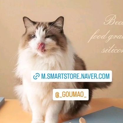 #고우마오 말랑감성 한스푼 댕냥이 간식스푼🥄
프리미엄 커스텀 식기세트와 함께 구매가능🤗

#고양이식탁 #고양이식기 #고양이밥그릇 #간식스푼 #스푼 #spoon #고양이간식 #강아지간식 #강아지밥그릇 #강아지스푼 #고양이스푼 #강아지식기 #강아지식탁 #고양이물그릇 #반려동물용품