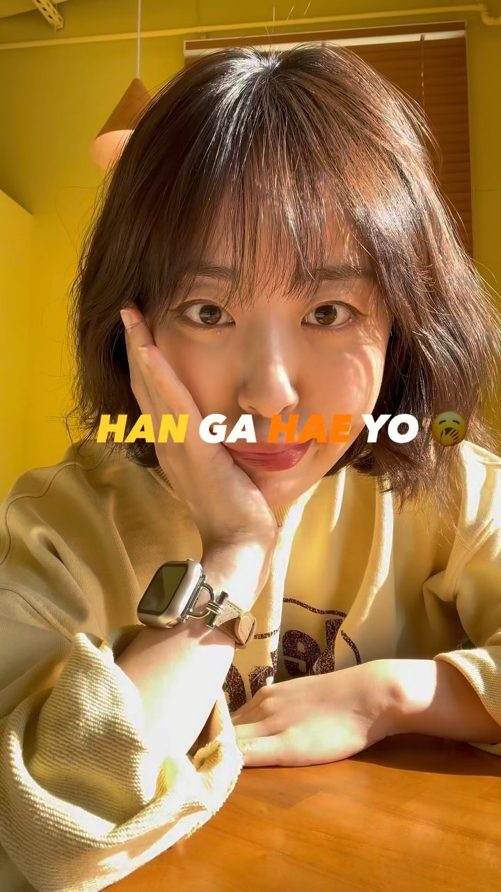 옹릴까말까 올릴까망까 올릴