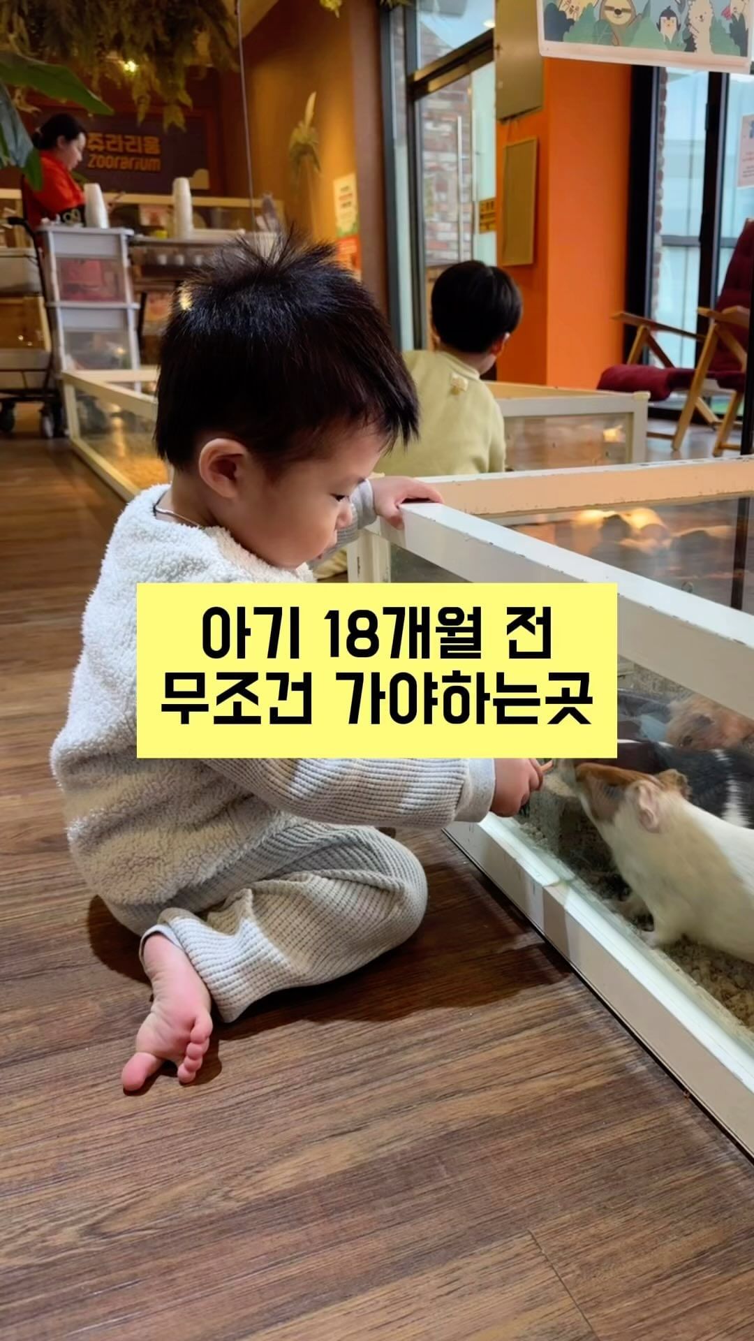 아기 18개월 전 무조건 가야하는곳

보통 아기들은 13개월부터 멈머~ 야옹
하면서 동물들 소리를 내면서
좋아하는데요

이번에 직접 먹이도 주면서
옆에서 체험할 수 있는 곳을 데리고 갔어요!! 

🩷쥬라리움!
쥬라리움은 체인점이라
주변에 찾아보면 진짜 많을거에요!

먹이주기 체험도 가능하고
키즈카페 놀 수 있어서 기본 2시간은 순삭!
평일 종일4시간권도 있으니
참고하시면 좋답니다!!

18개월 전 아기는
어른 입장료만 내고 무료로 입장 가능하답니다!
(증빙서류 혹은 똑닥어플 보여주셔야 됩니다)

심지어 동탄 쥬라리움은
게임존이 있는데요 
다 무료 ㅋㅋㅋ
그래서 중간에 저희부부 게임도 하며
스트레스도 풀었답니다!