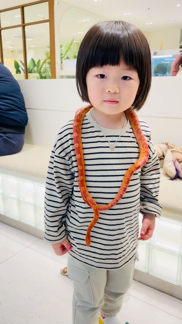 실내동물원😊😊
다른 실내동물원들이랑 비슷한데
직접 들어가서 만지며 교감할수 있는 엄청난
메리트가 있어서 너무 좋았다💖
여우를 실제로 보고 만질수 있다니🦊🦊
아이들도 너무너무 좋아하고 나도 재밌었닼ㅋㅋㅋㅋ