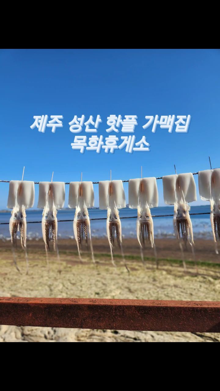 1년에 꼭 한번씩은 들르는 #제주성산핫플  #목화휴게소
#나혼자산다 이후로 정말 인기가 식지않는 #제주가맥집
건어물 좋아하는 엄마 모시고 갔다가 
건어물 안먹는 나와 아토가 더 푹 빠져버린 곳😄
매년 갈때마다 가격이 올라서 아쉽긴해도 바다 바라보며 준치에 맥주 한잔 행복합니다

📌 참고로 제주도에서는 반건조 오징어를 준치라고 합니다
#운치있네 #제주가맥집추천 #제주도동쪽가볼만한곳