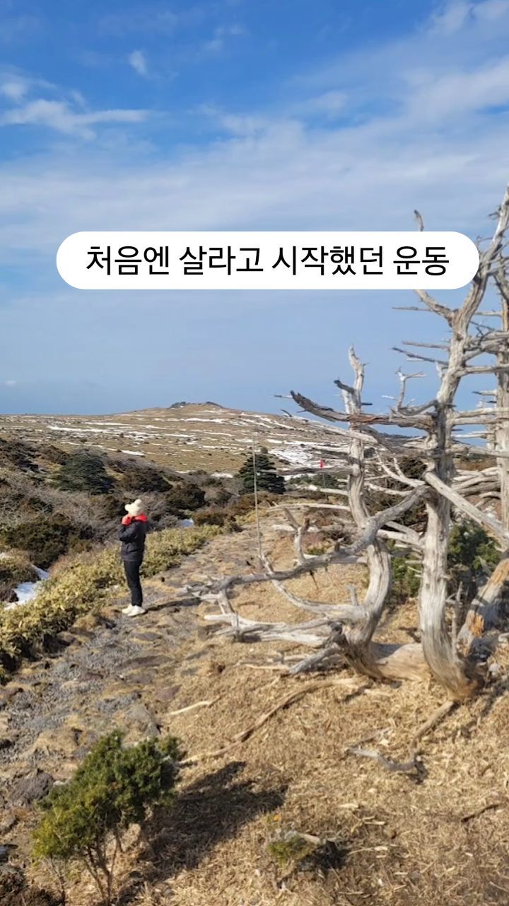 💪운동을 시작한지 2개월째🏃🏃‍♀️
새벽부터 서서 레슨하고 집에 오면 늘어져 누워있기 생활화 하다 필드레슨 갔는데 너무 지치고 힘들어 운동 안하면 안되겠다 싶었다
의지가 약한 인간이라 나혼자는 안되겠다 싶어 자비가 없는 한라산 가는 남편을 따라 나섰다
5~60분 코스를 한시간 반이나 걸려 올라가고 열박자국이 아닌 모든 걸음마다 너무 힘들고 죽겠더라는ㅜㅜ
다녀오고는 온몸 근육통으로 3일을 고생하면서 생각이 많아졌다 이렇게 지내다는 숨쉬기만 겨우 하고 사는 몸뚱이가 될것 같아 계단 오르기를 시작했다
첫날은 7층건물 3번 오르고, 다음날은 4번, 그다음엔 5번
숨이 차서 머리가 핑핑 돌정도였지만 30분-20분-15분 점점 시간이 줄어들면서 허벅지는 탄탄해지고 얼굴살이 빠졌다 피부가 좋아졌단 얘기를 듣기 시작했다
역시 노력은 배신하지 않는구나~ 3월이 되면 필드 가느냐고 한라산 자주 못가고 운동도 지금처럼은 못하더라도 가보자고!

#몰아서쓰는 #운동일지 #오름 #한라산 #계단오르기
#심박수높이기 #30분이상 #식단조절놉 #피부도좋아짐