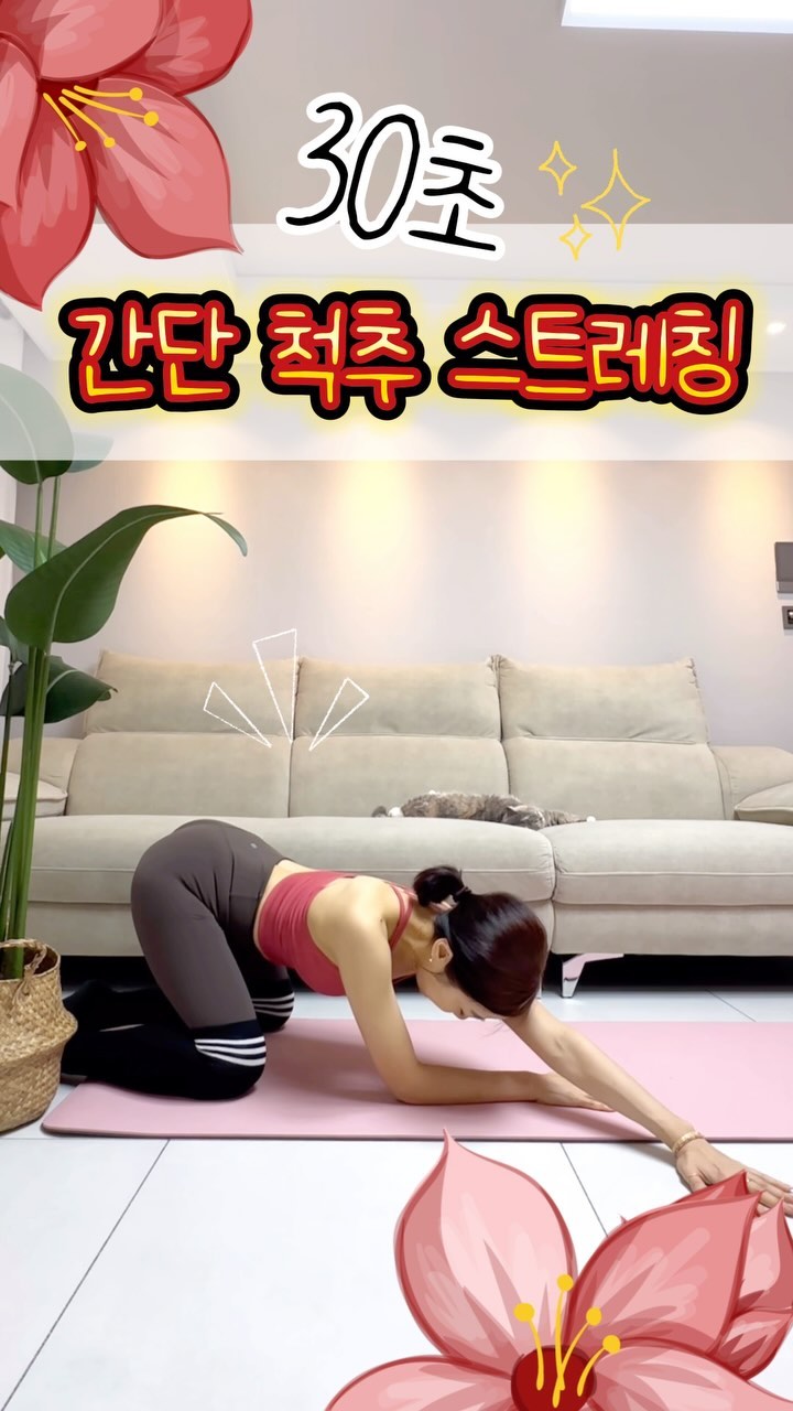 🧘‍♂️ 간단 척추 스트레칭 - 스트레스 해소!

🌟 스트레칭 소개:
이 간단한 척추 스트레칭은 하루에 쌓인 스트레스를 풀어주고 몸의 긴장을 늦춰줄 수 있는 효과적인 방법입니다.

🚀 동작 설명:
바닥에 앉아서 무릎을 가지런히 구부리며 팔을 뻗어 몸을 앞으로 숙이세요. 어깨를 바닥 쪽으로 향하게 해 척추에 유연성을 불어넣습니다. ✨ 

#스트레칭 #스트레칭영상 #스트레칭추천 #스트레칭운동 #스트레칭하기 #홈트 #홈트레이닝 #홈트영상 #홈트하는여자 #홈트레이닝스타그램 #홈트족 #홈트하는엄마 #홈트운동 #홈트추천 #홈트스타그램 #홈트레닝 #홈트레이닝💪 #홈트레이닝영상 #홈트레이닝운동 #홈트맘 #홈트다이어트 #써니홈트 #준스맘홈트