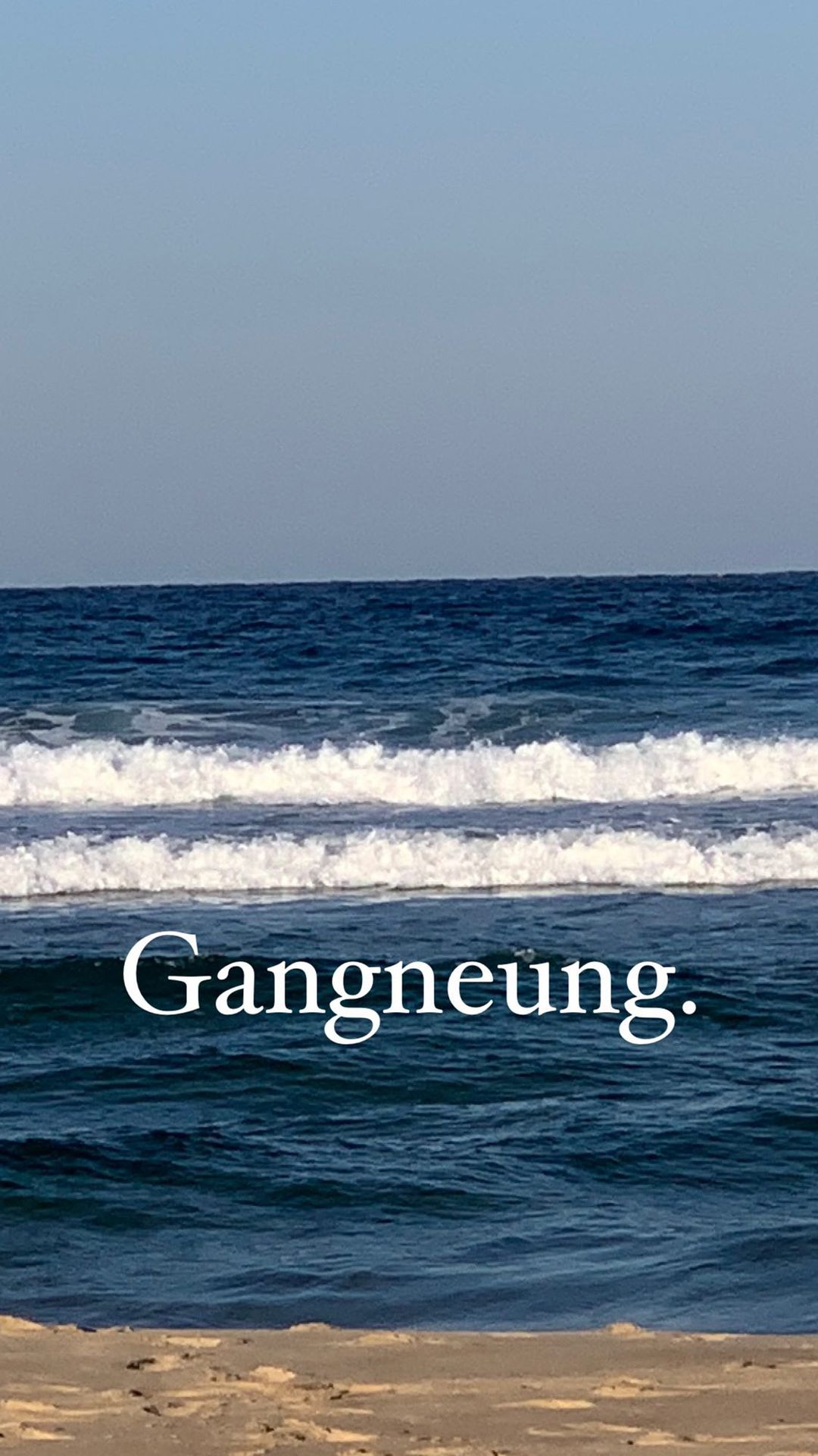 강릉 살짝쿵 찍고온날 •• 🌊