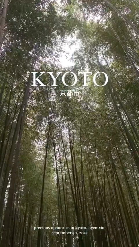 kyoto 🇯🇵
제일 좋아하는 아라시야마 곳곳 누비기 ,, 🤍🎋

.
.
#일본여행 #여행릴스 #교토여행 #오사카여행 #교토여행릴스 #아라시야마 #kyoto #travel #japan #japantravel #travelreels #kyototravel #osakatravel #kyotoreels #kstyle #lfl #arashiyama #arashiyamabambooforest #japanphoto