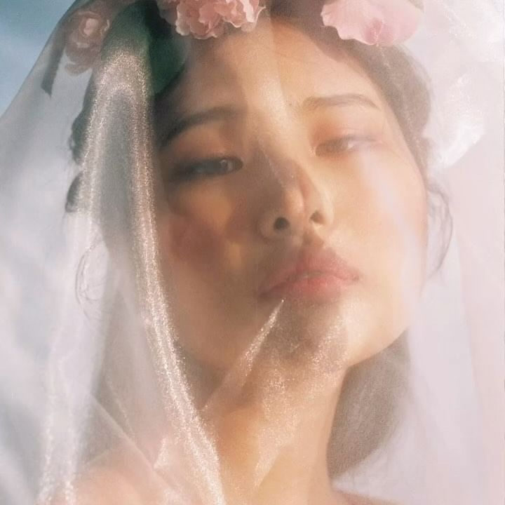 콘텐츠