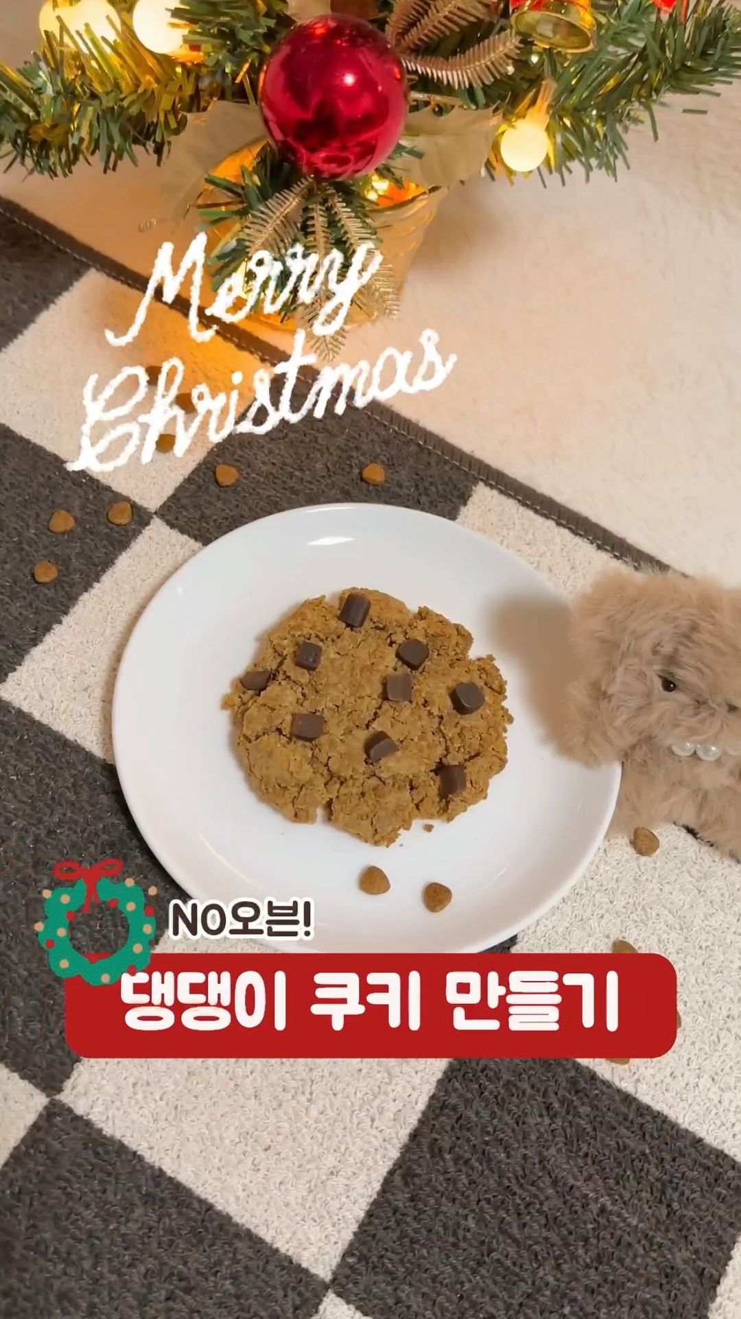 .
도로시랑 쿠키만들 친구들 모집중🍪♥️
도로시네집엔 오븐도없구
엄마가 손 많이가는거 귀찮아해서👀💦
외국릴스에서 츄르로 고양이 쿠키 만드는거보구
요건 너무쉽다! 해가지구 만들어봤대ㅎㅎ
(결국 청소 한무더기 생기긴 했지만🤔..)
오때오때? 그럴싸하지않아~?!
노오븐 베이킹(?)✨ 초코쿠키만들기
다들 만들어 먹어보자구~~😝🤍🤍
.
.
.
#노오븐베이킹 #강아지간식 #강아지수제간식 #댕댕이간식 #강아지밥 #강아지밥만들기 #초코쿠키 #초코쿠키만들기 #댕댕이그램 #크리스마스 #크리스마스베이킹 #멍팔맞팔 #귀여운강아지 #말티푸 #도로시