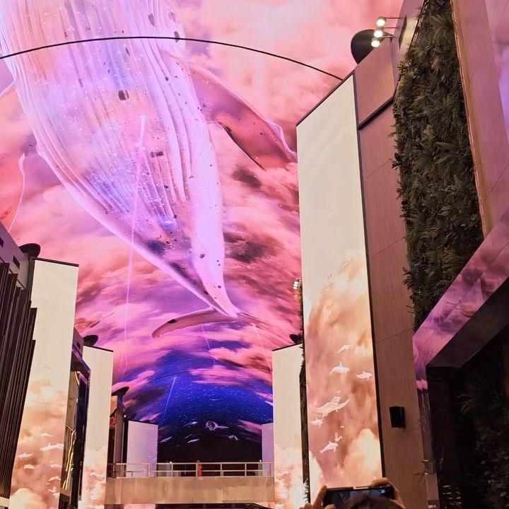 @inspirekorea 
한국 도착해서 저녁먹고 체크인! 첫날은 피곤해서 아무것도 못하고 다음날 리조트 둘러봤어요.라스베가스 마카오 대표 카지노호텔 베네시안의 상징인 인공 하늘의 LED 디저털 구현되어있어요. 실제로 보니깐 더 웅장하고 멋지더라고요. 오전 8시부터 자정까지 매시 정각 30분 간격으로 볼 수 있습니다!

야놀자 7% 할인쿠폰 받아서 포레스트 비지니스 디럭스 더블퀸 조식불포 33만원에 예약했는데 전망 있는 룸으로 업글 받았어요! 투숙 완료후 최대 5만 포인트 리워드까지~ 인스파이어 엔터테인먼트 단독특가는 @yanolja.official