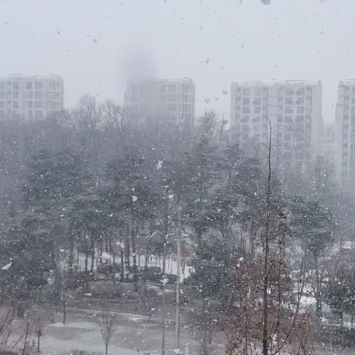 💗 sssnow ⛄️❄️