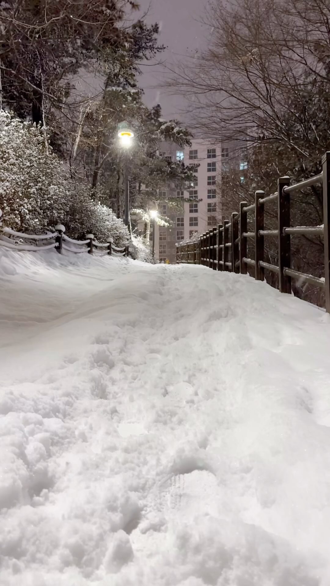행복가득했던 날❄️🐾🤍🤎✨