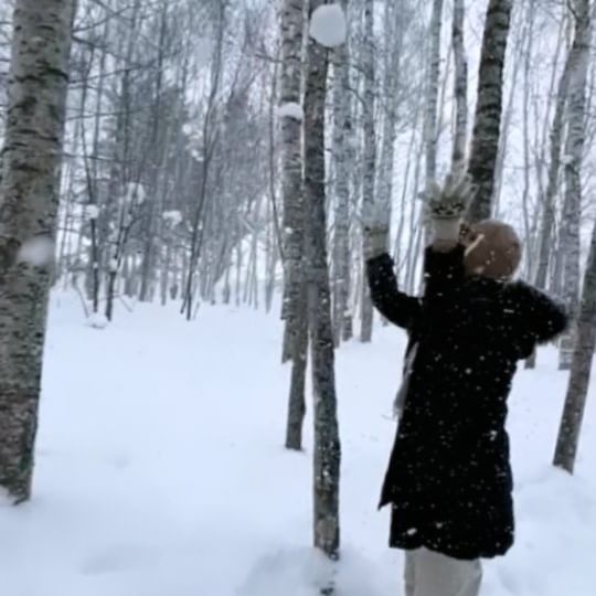 눈 진짜 많이 본날
자작나무숲

.
.
❄️
#삿포로 #비에이투어 #북해도버스투어 #ㅎㅁㅇ