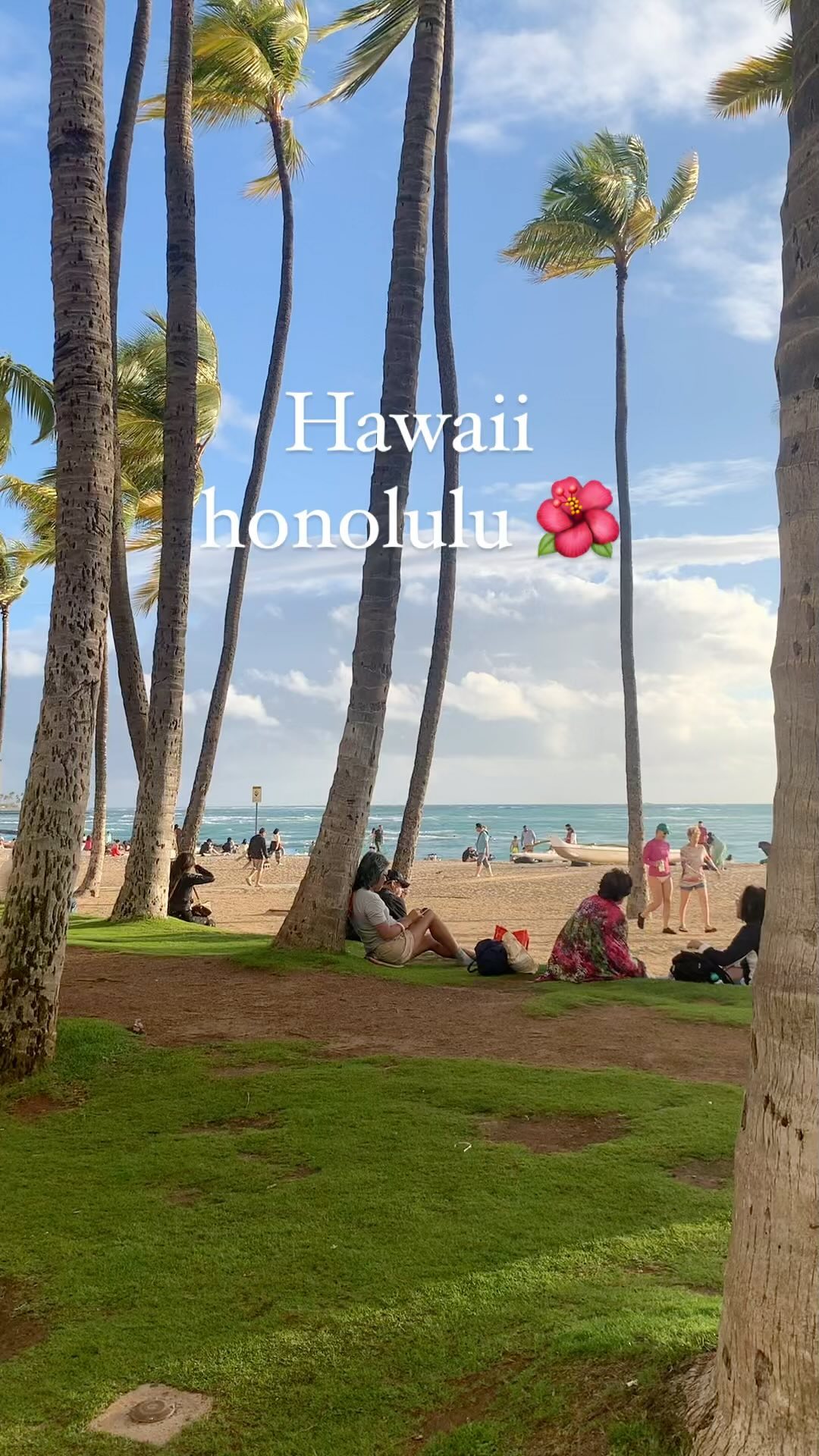 ALOHA Hawaii 🌺