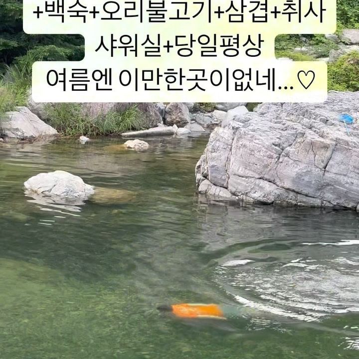 작년에 여러 배네골 펜션 가봤는데 여긴  부산이랑 제일 가까워서 좋고.. 밀양ic 타고 40분 !

취사가능해서 장봐온 음식 먹고싶은거 구어먹고 해먹어도 되고,

귀찮으면 백숙,오리불고기,삼겹살 먹으면 반찬 공기밥 등 맛나게먹고

치워주니 세상편함  이마트24 편이점 걸어서 2분거리에 생겨서 

얼음 마실거 무거운거 바리바리 안싸와도 됨 )....(

수영장 바로옆에 샤워장 신축화장실 있어서  좋음 모기많이없고 벌레도 없음 주말에 갔는데도 넓어서 큰튜브 사용가능,, 

숙소에 수건 20장 30장씩  넉넉히 주심 샴푸, 바디워시 큰통으로 구비되있고 휴지도 있고 전자레인지 밥솥 냉장고 드라이기 다있음 특히 수압이짱짱하고 뜨거운물 바로 나와서 수영해서 지친몸 따뜻하게 샤워가능

티비에 넷플, 유튜브 나옴ㅋㅋ짱..
단점은 주말에 50만원이고 평일에 20만원대라 금액차이 후덜덜
이미 예약꽉차있을수도?
여러명이랑 놀기에 배네골만한곳이 없는듯,,+..+ 

음식값이 비싸긴해도 평상에서 계곡물놀이하며 먹는거치곤
반찬도 잘나오고 가격만큼 꽤맛있다 ㅎㅎ

#여름계곡 #경남계곡 #계곡갈만한곳 #부산근교계곡
#배네골강마을 #캠핑계곡물놀이 #물놀이원없이한다
#계곡수영장 #수영장평상대여 #당일치기 #계곡펜션 #배네골펜션
#가성비갑 #계곡백숙