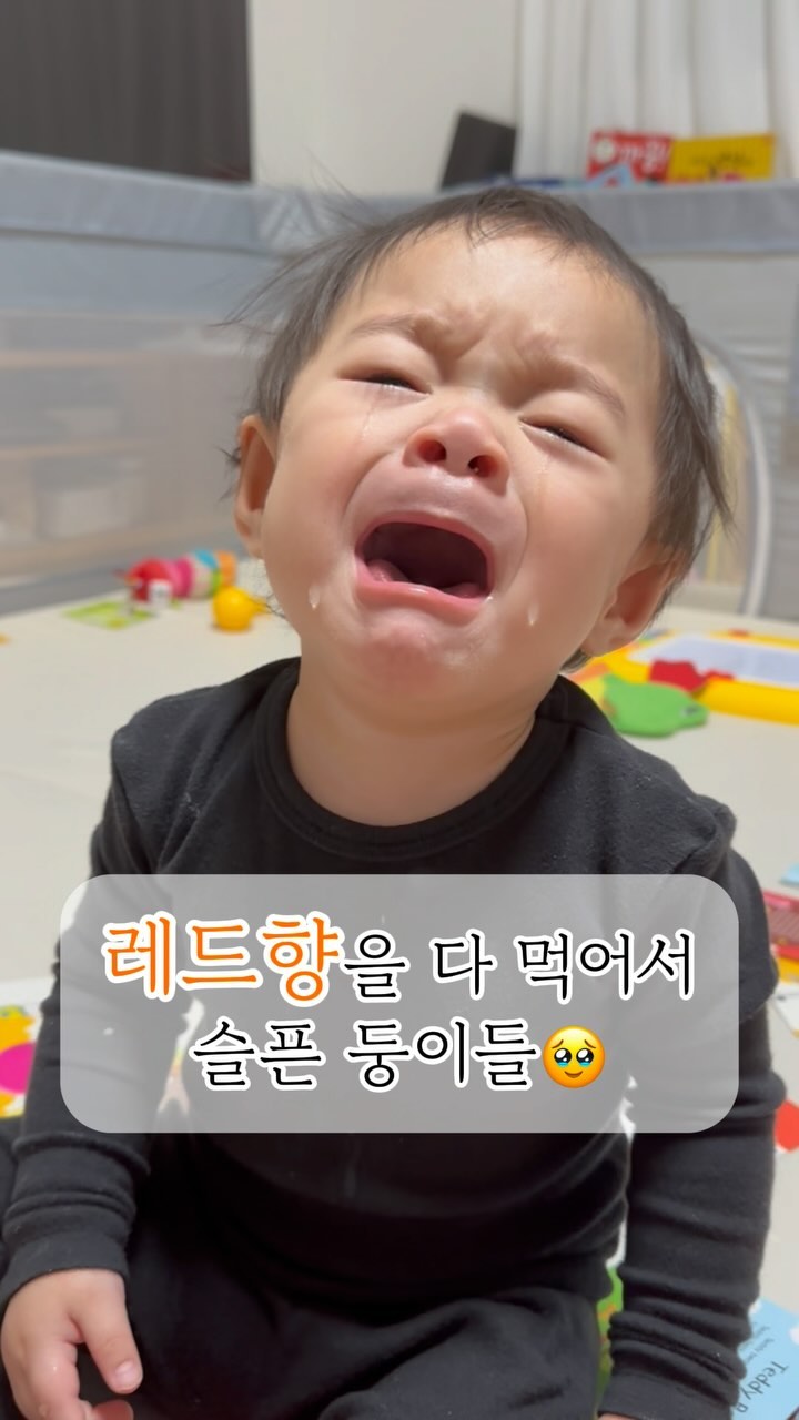 레드향을 (본인들이) 다 드시고
슬퍼 우는 둥이들🥹🥹

엄마가 낼 또 줄게
ㅋㅋㅋㅋㅋㅋㅋㅋㅋㅋㅋㅋ🍊
.
.
#뚜울부부👩🏻‍❤️‍👨🏻 #하나서이 #하나뚜울서이
#하나서이_13개월 #하나서이_398일 #하나서이_56주
#뚜울해❤️ #해둥이 #쌍둥이 #쌍둥이아기 #아기릴스
#레드향 #한라봉 #낼또줄게 #울지마
#눈물이뚝뚝 #서러워 #ㅋㅋㅋㅋㅋㅋㅋㅋ #귀여워 
#육아 #쌍둥이육아
#쌍둥이출산장려전도사 #다둥이출산장려전도사
#싱크로율무엇 #ㅋㅋㅋㅋㅋ