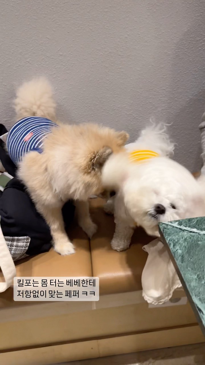 귀여운 애들이랑 연휴 시작♥️