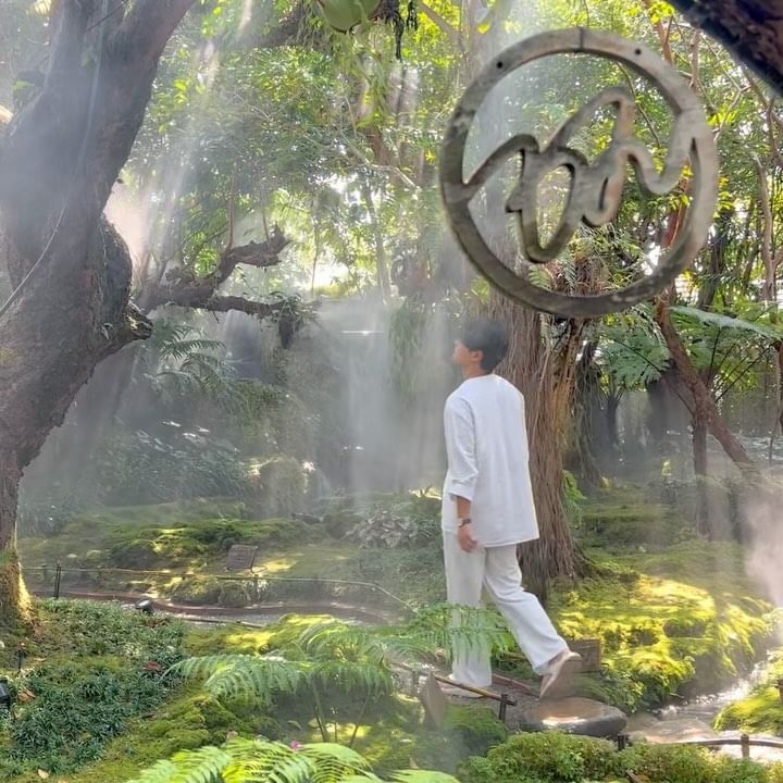 비밀스런 치앙마이 카페🌿🌿🌿

영화 아바타의 배경 그 속으로...
현실인지 의심스러운 태국 치앙마이 카페

실제로는 정말 작은 규모의 공간이며,
워낙 인기가 많아 잔잔하게 찍는 게 생각보다 어렵다는 점😅

카페와 음식점을 같이 운영하는 미슐랭 맛집으로
가격대가 상대적으로 있긴하나 가격대가 있는만큼
개인적으로 음식 퀄리티와 맛이 있던 곳이었어요!

앞으로 남은 치앙마이 한달살기 기간동안
더 많은 새로운 신상 카페 도장 깨보러 가보겠습니다😎

———————————————————————
📍 𝗖𝗵𝗼𝗺 𝗖𝗮𝗳𝗲 𝗮𝗻𝗱 𝗥𝗲𝘀𝘁𝗮𝘂𝗿𝗮𝗻𝘁
⏰ 매일 11:00 - 22:00
————————————————————————

🇹🇭 실시간 치앙마이 여행 정보
@mister__travel
@mister__travel 
@mister__travel 

#thailand #chiangmai #chiangmaicafe #chiangmailife #치앙마이한달살기 #치앙마이카페 

🇹🇭 #여행은미스터트래블 in #태국 #치앙마이