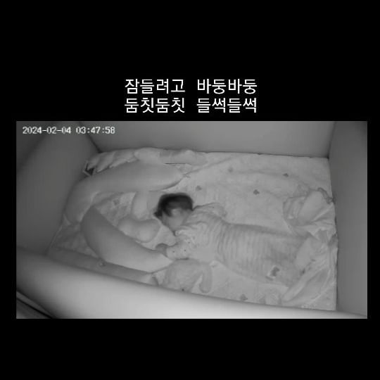 D+174 #육아일기

새벽에 주무시다가 쪽쪽이 찾으시는 회장님
입에 물려드리니
씬이가 나시나요👶

다시 잠들려고 노력하는 짜세
짜란다짜란다짜란다❤️🧡💛

요즘 팔베개해주고 같이자고싶으나...
너와 나의 서로의 꿀잠을 위해
참도록하자😢

잘자는 덕분에 잘먹고 야무지게 잘놀고
잘놀아서 또 잘자는 선순환
엄마가 더 재밋게 놀아줄께
더 많이 웃게해줄께😎

#사랑이야  #흑토끼띠 #흑토끼띠맘 #신생아 #육아스타그램 #육아 #육아소통 #딸스타그램 #아기릴스 #딸바보 #육아그램