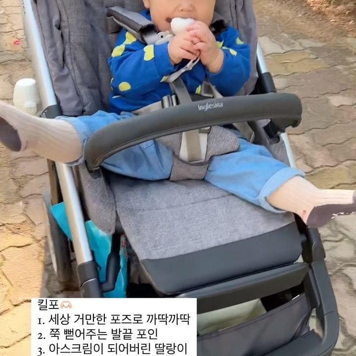 세상 거만했던 10개월의 쭈누ㅋㅋㅋ

#230519