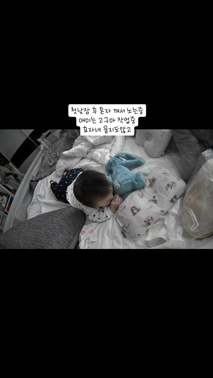 #
병원 접종갔다가 잠들어서 집와서 그대로 낮잠
애미는 고구마랑 감자 큐브 만드는 중

자다 깨셧는데 왠일로 오래 울지도 않고
찡얼대지도 않고 혼자 노심

항상 궁금했음
그 토끼인형이 왜 젖어있나
니가 맨날 그렇게 물고빨고했구나

#8개월아기 #8개월 #8개월아들