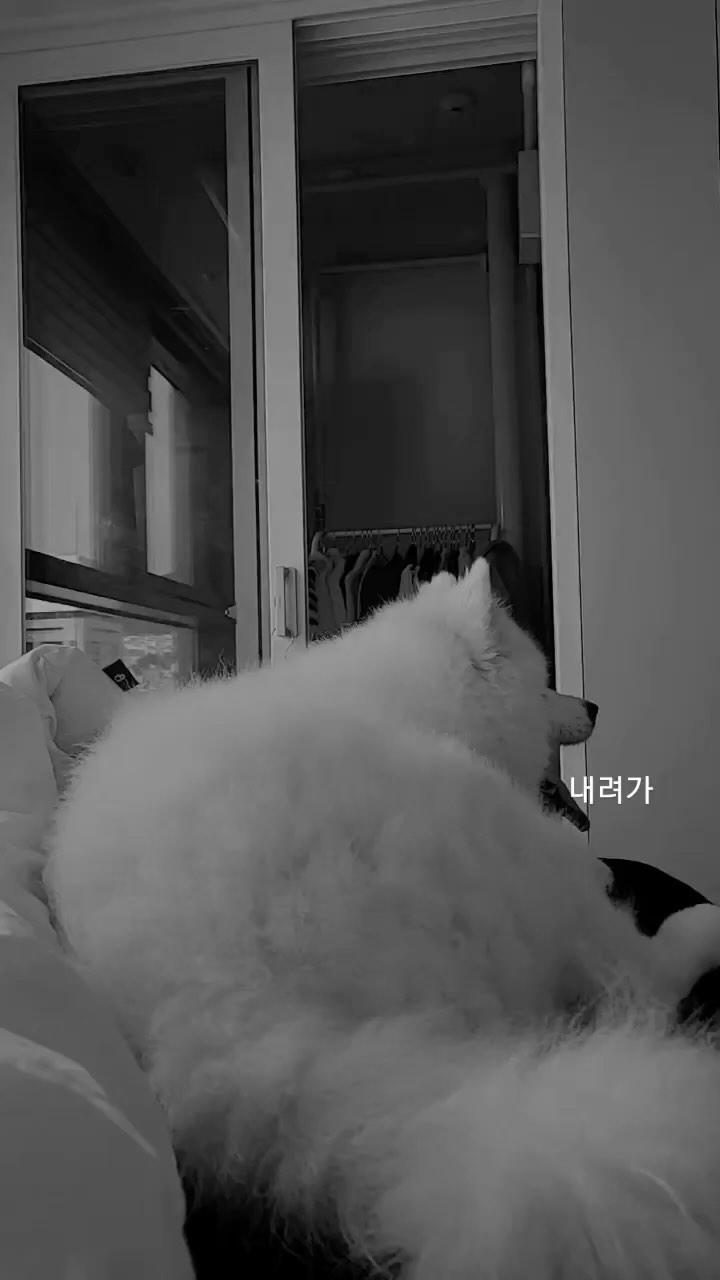 콘텐츠