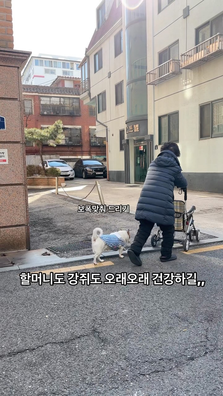 '반려'의 사전적 의미 
👉🏻짝이 되는 동무 

얼마전 연남동 골목에 
강아지 한마리가 혼자 서성이길래
발길이 안떨어져서 지켜보았어요
(옷을 입었길애 주인을 잃었나 싶어서)
알고보니 할머니를 기다리고 있는거더라구요 

걸음도 함므니 맞춰서 헛둘헛둘 🐕
누가 누굴 끌거나 당기지 않는
진정한 짝꿍의 모습이었어요 

내가 먼저갈지
너가 먼저갈지 모른채
비슷히 남은 시간을 걸어 간다면
그때서야 진정한 '반려'동물을
키우는 걸지도요 

그때는 먼저 남겨지게 하지 않기 위해서라도 
건강을 악착같이 챙기겠지요 ☺

-