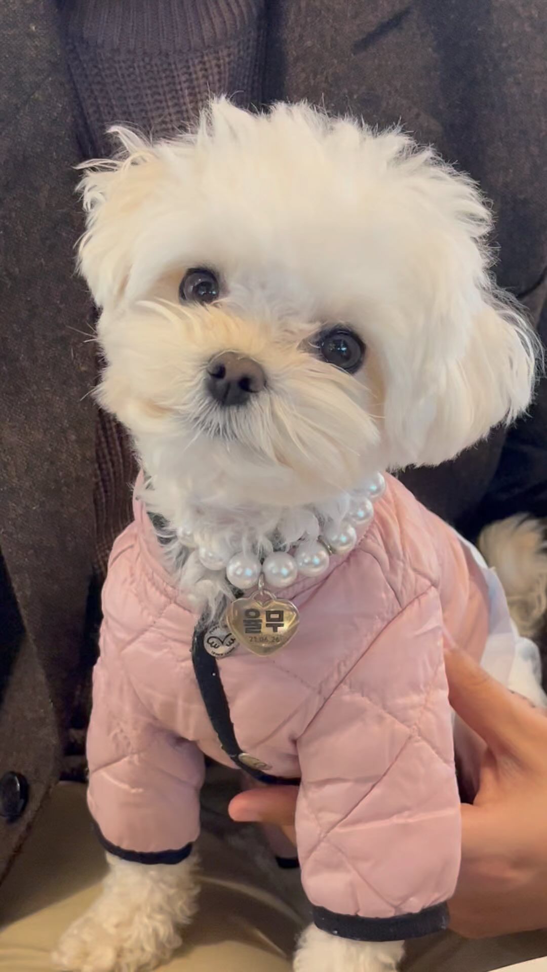 율무둥절 🤔🩷 #갸우뚱