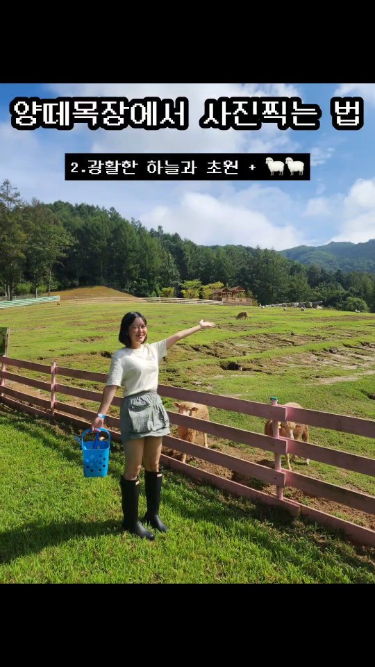 홍천 휘바핀란드 가보신분!? 
박애니멀은 주말 방목 양떼목장에서 제대로 힐링하고 왔습니댜...🐑🐑 
이번 한주도 모두 화이팅합시댜🙌

#양떼목장 #홍천여행 #휘바핀란드 #힐링여행 #헌터부츠 #강원도여행 #홍천놀거리