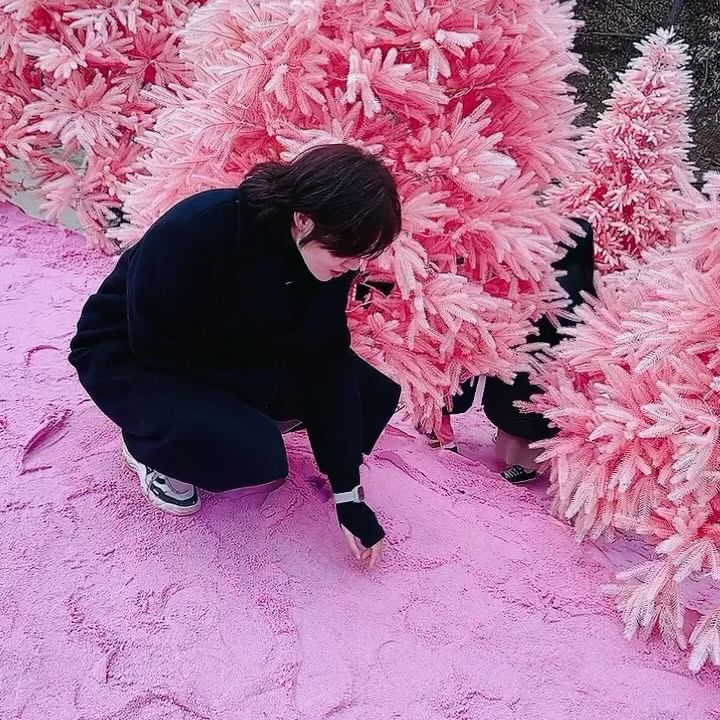 핑크빛 세상 🎀