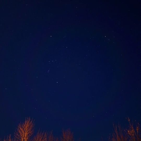 비행기가 지나가 마치 별똥별인 것처럼🌠
갤럭시로 별 사진 찍기🤳🏻
#여행 #갤럭시 #릴스 #reels