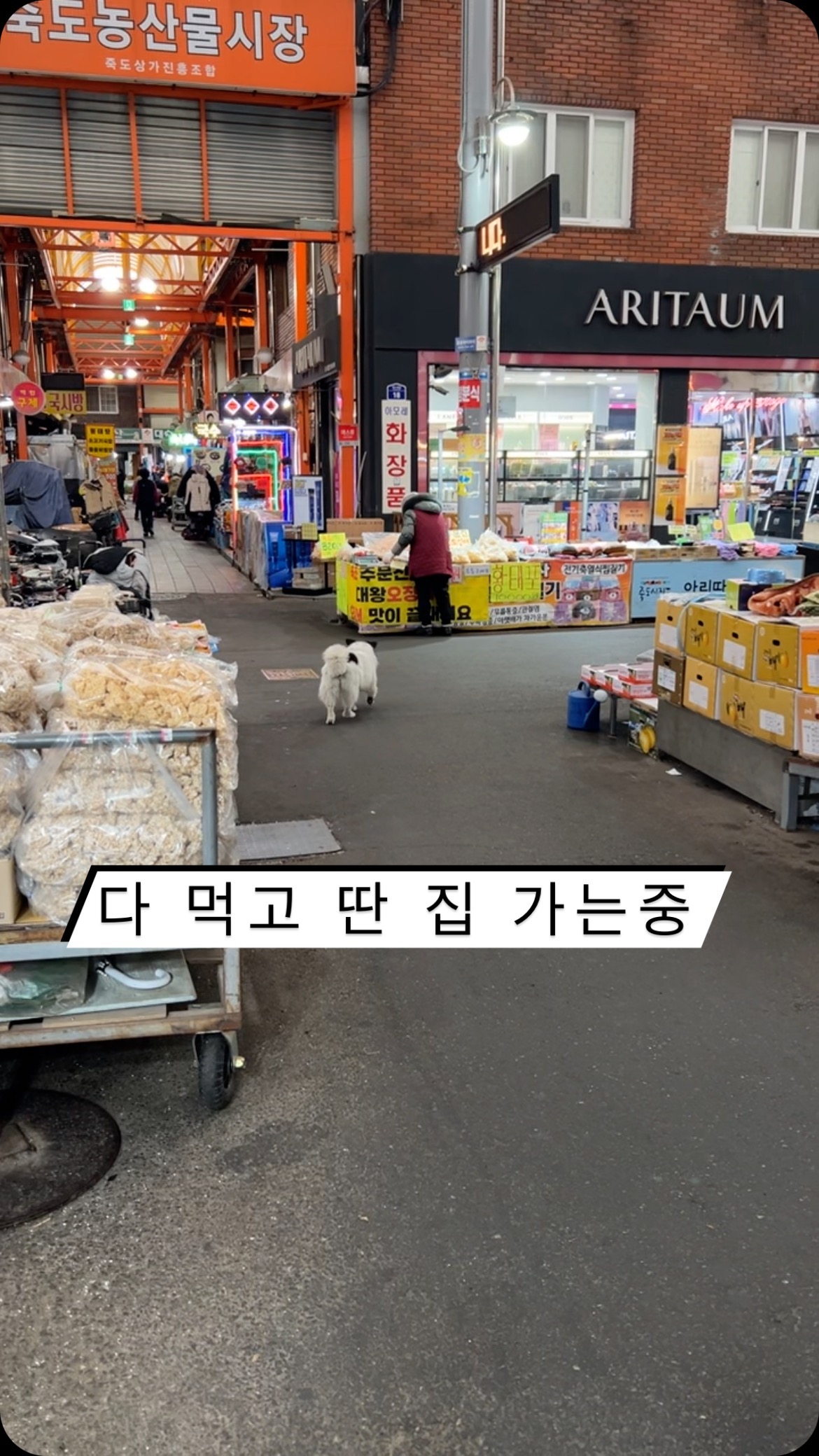 콘텐츠