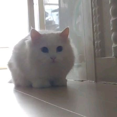 콘텐츠