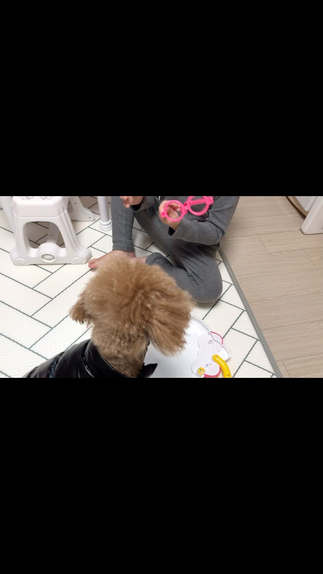 쪼꼬미 5살 선생님과 순수한 13살 환자의 병원놀이

🐶 안냐하세오 이게 뭐에오..?

👤 아~어디가 아파요?  배가 아파요..? 주사 맞아야해요

🐶 ????(링고둥절)