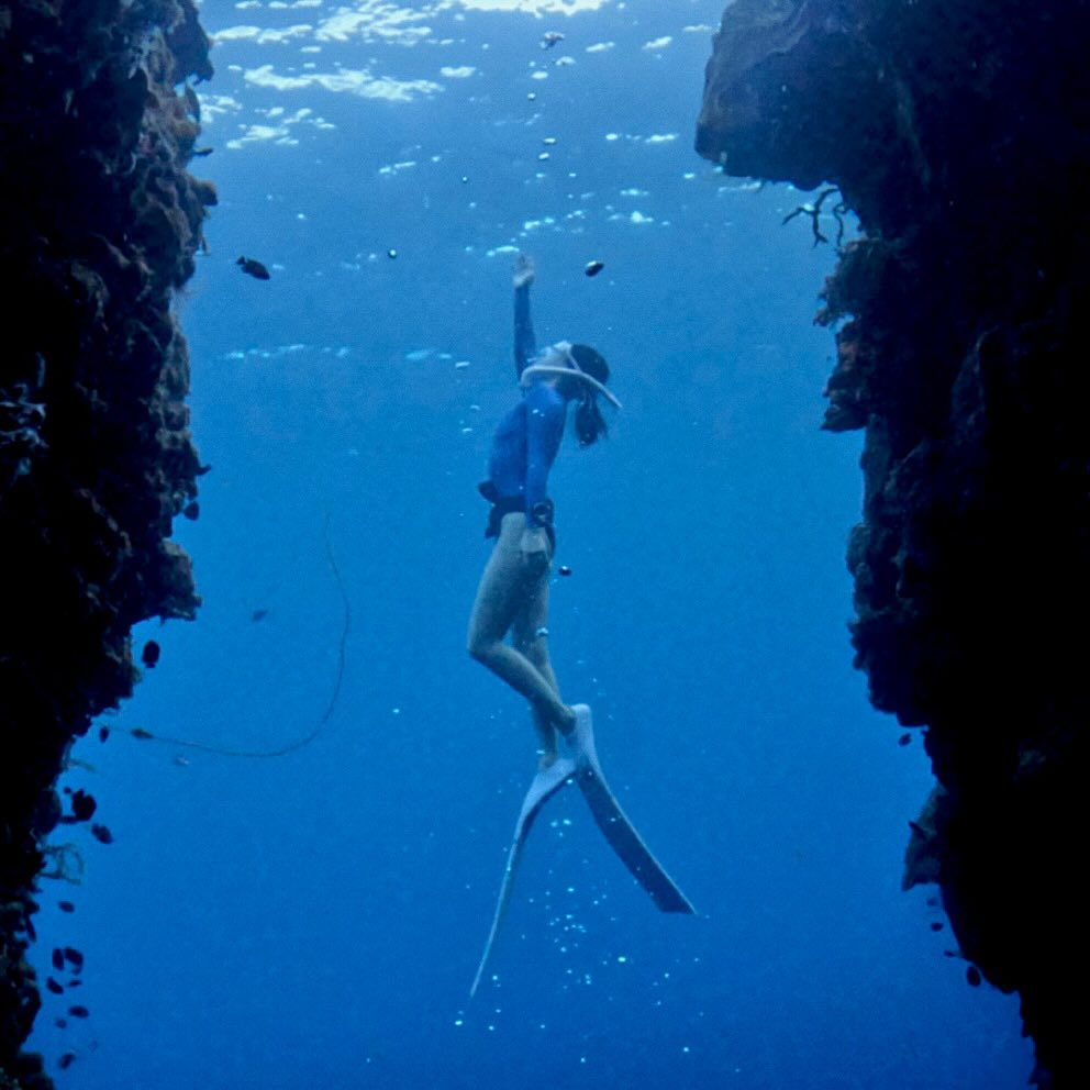 다이빙의 성지 #보홀
나팔링은 꼭 가세요✨🥹

The Holy Land of Diving, Bohol
Nafaling is a must-go place

📸 : @diver_jaypz 
🧜🏻‍♀️ : @mina_.c

#freediving #bohol #napaling #fundiving #panglao