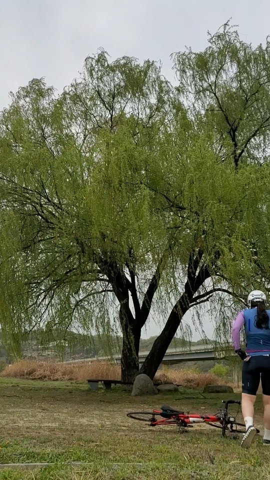 두부가 되어가길래 선텐하러 나갔달까
날이 너무 좋았다 여기 국토종주 코스던데
꽃이 있을때 탔으면 정말 예뻤을거 같다
근데 좀 더 더워지면 뜨거운 감자가 될거같은 코스다....
중간에 활주로가 아닌가 싶은 곳이 있었다
내가 좋아하는 큰 나무가 있는 곳을 발견했다
재미있었다