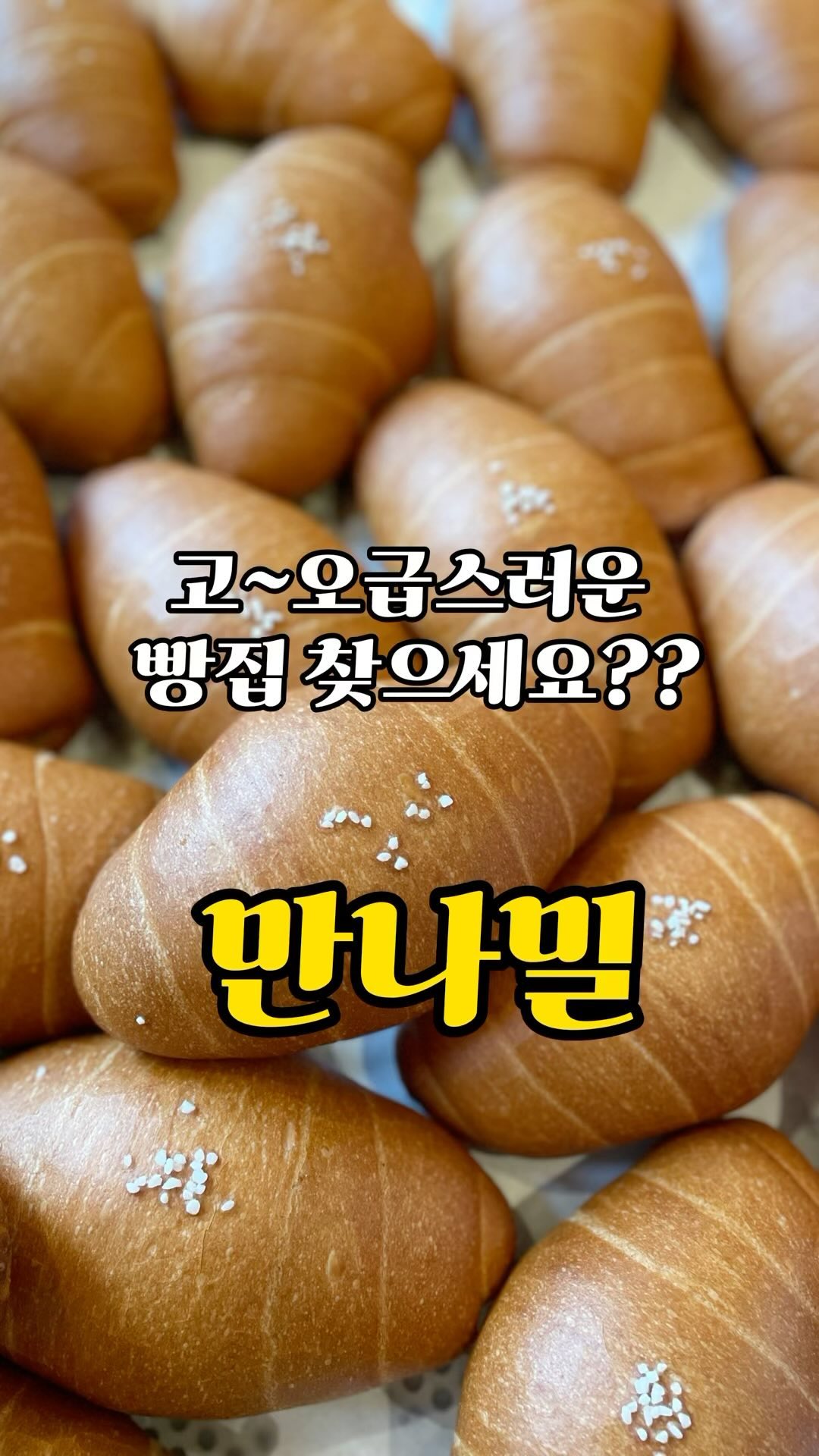 #세종시맛집 #만나밀 

한 번도 안와본 사람은 있어도 한 번만 와본 사람은 없다는 그 곳,만나밀입니다💛
도심가에서 있는 한옥,이 것만으로도 이미 분위기맛집인데  빵, 커피 뭐하나 빠지는게 없네요😍
 

❤️❤️추천빵❤️❤️
#소금빵에그샌드위치 (에그샐러드의 느끼함이 살짝 올라올 때 소금빵의 짭짤함이 눌러줍니다_소금빵과 에그샐로드의 조화 미쳤…🫠)
#누룽지크로와상 (계속들어갑니다 누룽지 좋아하고 빵 좋아하는분들 다이어트하시는 분들?? 다이어트 실패😝_ 강건너 사시는 분들도 이거 사러 옵니당)
#소금빵 #모카소금빵 #마늘소금빵 (소금빵 3총사_ 여기 소금빵 드시면 다른데서 못먹어요🥹🥹파사삭 소금빵 한 번 느껴보세요 11시 전후로 가면 따뜻한 소금빵 먹어보면 헤어나오지 못해요))

다른 추천할 빵이 많지만…ㅋㅋㅋ 
다 적다가는 3박 4일도 모자랄거같아요🫣🫣
만나밀 자주 기웃거리면서 또 소개해드릴게요💛많관부❤️❤️

#세종시맛집 #세종카페 #세종맛집 #고운동맛집 #고운동카페 #세종어디가지 #세종핫플 #세종빵집 #세종시아이와가볼만한곳 #세종맘 #세종가볼만한곳 #세종시점심 #카페추천 #coffee #cafe #ffff #bakery #한옥카페 #세종시한옥 #헤이믈 #만나밀베이커리 #세종만나밀 #세종카페추천 #세종베이커리추천
