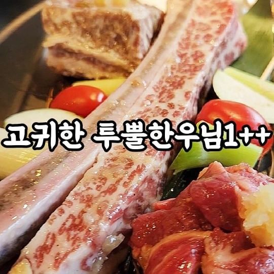 #협찬  대흥역맛집 최상급 투뿔한우 1++ 전문점으로 유명한 박숙성에 다녀왔어요. 

고기때깔부터 다른 한우계의 에르메스
고기가 살살 녹아요 녹아
맛으로 소고기 한우 따라올 놈이 없죠? 
지혜로우신 어르신들이 왜 하누하누 하시는지
맛의 차이를 딱 아시잖아요. 
요기요기 그것도 투뿔이라구요. 오메 감동인거

대표메뉴 우념세트는요
엄청난 마블링에 육즙가득 사르르 녹는 우대갈비, 박숙성의 특제양념으로 숙성된 양념갈비와 양념소갈빗살까지 다채로운 구성이에요. 

거기에 한우가 듬뿍 들어간 무생채볶음밥까지 세트
달달한 갈비에 매콤한 맛의 조화가 퍼펙트!

통감자 통째로 들어간 된장찌개도 소고기 듬뿍이라 그런지 진짜 너무 맛나, 최고급 투뿔한우의 깊은 풍미를 느끼도록 소스부터가 특별해요.

이탈리아식 올리브소스 깻잎페스토, 황태와 천일염을 믹스한 황태소금, 표고와사비와 생과일베이스로 만들어진 간장소스까지!  정성이 가~득
참으로 섬세한 곳이구나

콜키지프리라서 와인도 가져가기 좋고 네에? 댕댕이도 출입이 된다구요? 어맛 저장! 저장!

댕댕이 델고 고급지게 투뿔한우 한판?
최상급 투뿔한우는 바로 여기입니다

📍박숙성
📍서울 마포구 광성로6길 24 1층
📍Tel. 0507-1327-3759

*️⃣ 영업시간
  월-금 12:00~23:00
  토,일. 13:00~23:00

👉 추천메뉴

✅️ 우념세트 (양념우대갈비 1대 + 양념소갈비 350g + 양념갈비살130g)    99,000원
✅️ 양념 우대갈비(330g)  30,000원
✅️ 양념소갈빗살 (220g)  22,000원
✅️ 스트로베리피치 츄하이 10,000원

#대흥역맛집 #서울우대갈비맛집 #애견동반고기집 #경의선숲길맛집 #박숙성 #서강대맛집 #광흥창맛집 #마포고기집 #마포소고기 #마포우대갈비 #먹팔 #맞팔 #먹스타그램 #먹스타 #맛스타 #맛스타그램
#마포맛집 #우대갈비 #먹방 #먹방스타그램 #마포데이트 #먹방스타 #먹팔맞팔 #선팔 #맛집 #맛집스타그램 #마포갈만한곳