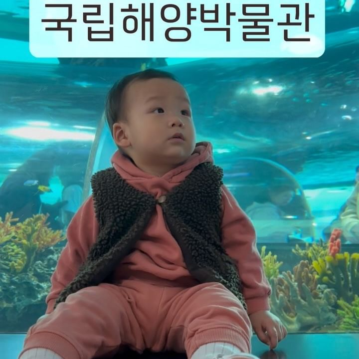 2024. 2. 17. [D+458]
생애 첫 박물관
키카와 박물관 사이 어딘가
아기랑 가기 너무 좋았던 곳
너무 넓어서 다 못보고 왔지만
여러번 방문해도 너무 좋을 것 같은 곳!
날씨 따뜻해지면 바다보며 산책도 해봐야지🐳

#15개월아기 
#국립해양박물관 
#부산아기랑갈만한곳