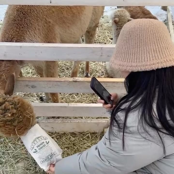 옴뇸뇸 귀욥…🥕❤️

#가평양떼목장