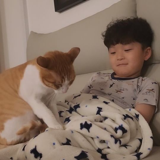 #피아노 #피아노연주

우리 키키 🐱 잘한다~ 잘한다~ 잘한다!!!!!!!

#고양이 #cat #🐱 #피아노콩쿨 #고영희 #집사 #집사스타그램
#코숏 #길냥이 #개냥이 #치즈 #남매맘 #아들맘 #딸맘 #천안맘 #아산맘 #워킹맘 #천안 #아산 #선팔하면맞팔 #선팔 #맞팔 #일상 #fff #캠린이 #캠핑