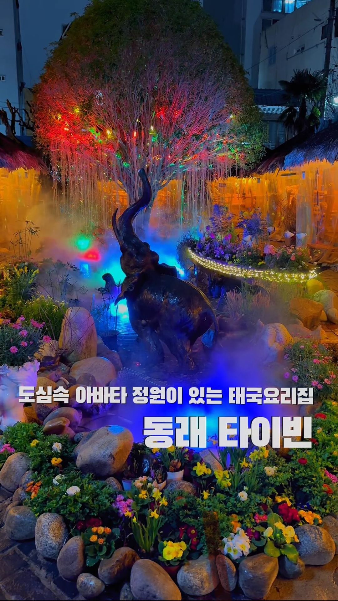 부산에 이런곳이? 아바타 영화속으로 들어온 것 같은 동래 타이빈입니다.
아바타에 나오는 에이와 나무+정원+물소리+야외방갈로에 내부로 들어가면 숲속에 온듯 신비로움 가득

요즘은 예쁜집들이 음식도 맛있는거 같아요
왜 이렇게 음식 퀄리티가 좋나 했더니
11명의 태국 현지인 쉐프가 있다고;

이집 푸팟퐁커리가 찐인데요
우리가 아는 비주얼과 좀 다르죠
냉동이 아닌 태국 생크랩의
커다란 집게발 살만 발라 넣어서
게살 풍미가 남다르더라구요

파인애플 볶음밥에 해산물 보이시나요
통조림 파인애플 그런거 아니고
파인애플 과육이 통째로 구워나옵니다;
왕새우를 튀겨 올려주는 팟타이도 
딱 방콕에서 먹던 그맛 그대로😊

날 풀리면 야외 방갈로에서
타이푸드에 태국맥주 한잔 어때요❤️

---------------

📍 동래 < #타이빈 >
부산 동래구 금강로73번길 12
✔️주차가능(건물자체)

---------------

👩🏻‍🦰 부산의 찐맛집과 핫플추천은
부산여친 팔로우 하기⬇️⬇️⬇️

@busan_girlfriend 
@busan_girlfriend 
@busan_girlfriend 

#동래데이트 #동래밥집 #동래구맛집 #명륜동맛집 #부산대밥집 #부산태국음식 #부산가족외식 #부산태국요리 #동래핫플 #부산대핫플 #부산데이트맛집 #부산이색데이트 #부산찐맛집