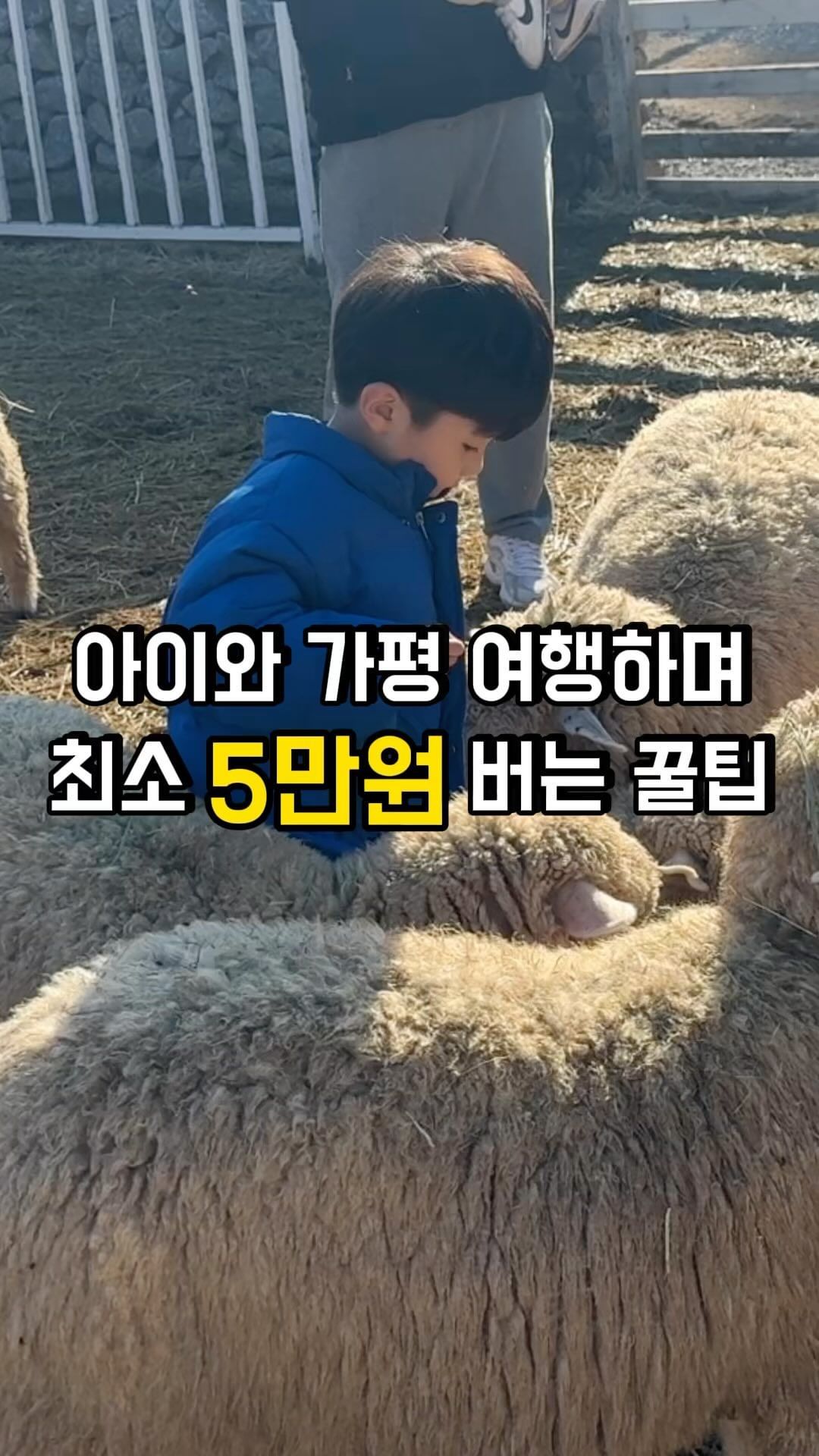 아이와 가평여행에서 최소 5만원 버는 방법

이왕 여행온김에, 
관광지도 가야하고, 
아이가 좋아하는 동물원도 가야하고..

고물가 시대에 한두푼이여야 말이지요..

💫가평 경기투어패스로 다녀오세요!!

✔️24시간 이내 이용가능
✔️무려 14,900원
✔️소인, 대인, 청소년 모두 공통!

🔴사용할 수 있는 곳🔴

가평양떼목장
아침고요가족동물원
아침고요수목원
쁘띠프랑스
이탈리아마을 피노키오와 다빈치
꿈의동산 놀이공원
숲의약속
가평군어린이음악놀이터
남송미술관
가평시티투어버스

예약해두신 펜션이 있으면
체크인 전에 한두군데 스팟을 들리시고
퇴실 후, 1-2군데 더 들리시면 개꿀!

특히 저희아들은
동물을 너무 사랑해서
아침고요동물원, 가평양떼목장
제대로 뽕 빼고 왔습니다!!

@hee.jjung2 
@hee.jjung2