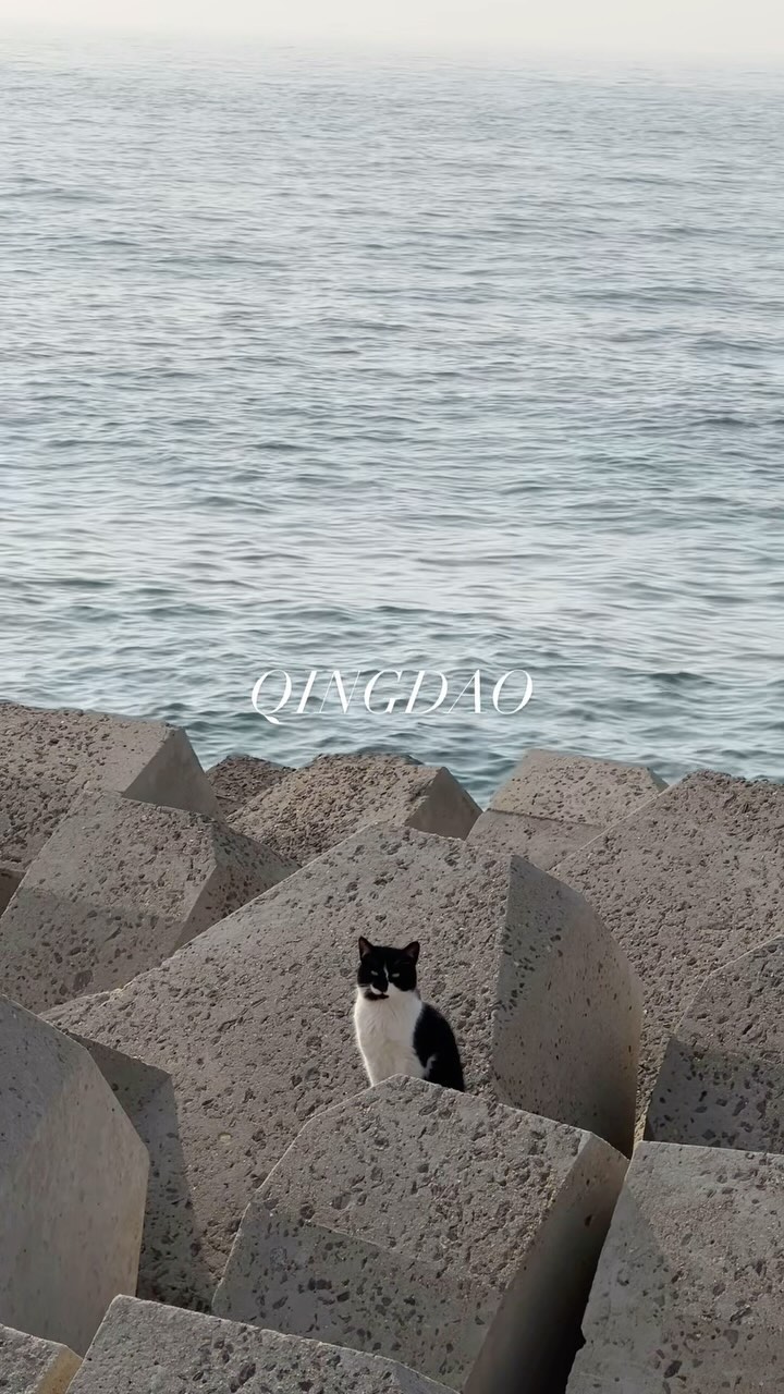언제나 다음 번엔 더 잘 할 수 있을텐데. 라고 생각해. 다음은 영영 없을 지도 모르는데.

2024.03.
Qingdao
w. 만지@atwannabe