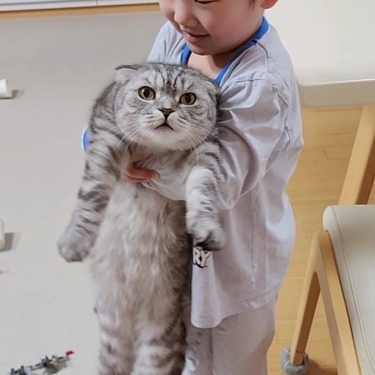 레고 쏟아놓고는 형아 밟을까 봐 걱정된다며 형아 안고 있는 빡거녕이.
결국 레브는 침대에 올려주고 레고는 본인이 밟고 응애응애응애 😮‍💨

#레브바다 🧒💕🐈 #육아육묘